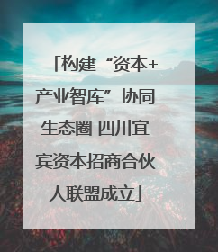 构建“资本+产业智库”协同生态圈 四川宜宾资本招商合伙人联盟成立